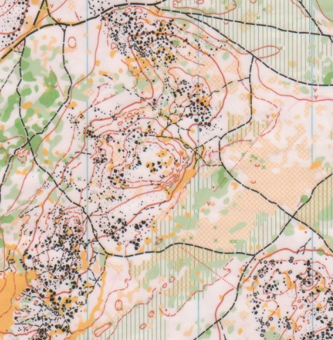 Carte de course d'orientation